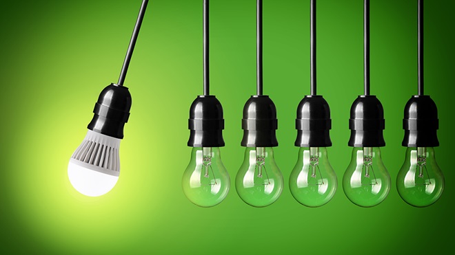 lightbulbs in a row on green background